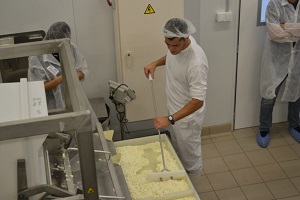 Lee más sobre el artículo Abierta la inscripción para el curso de elaboración de queso láctico/enzimático